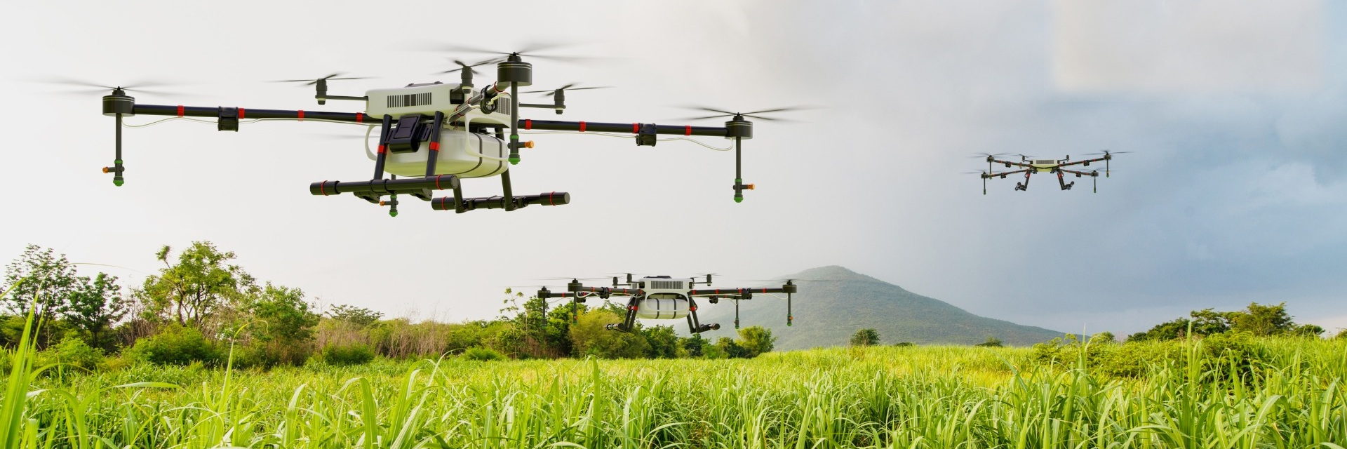 Spraying drones working a sugarcane field at Zimdyke customer site