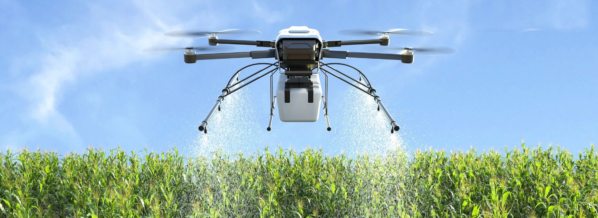 Agricultural spraying drone at work over a maize crop